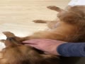 おかえり〜動画 おかえり〜動画