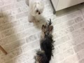 涼しい顔の桃② 涼しい顔の桃②