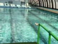 飛び込み大好き 飛び込み大好き