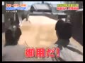 『大岡越前』歴史ミステリー~13分-軽量版-27MB-480x360.mp4 『大岡越前』歴史ミステリー~13分-軽量版-27MB-480x360.mp4